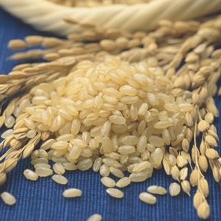 正耕 有机糙米420g 商品图3