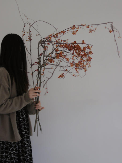 国产南蛇藤【一切都会好起来的】简小姐精选极具空间感 ins风花材 南蛇藤1束 中通包邮 商品图7