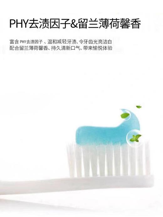 冷酸灵去渍亮白抗敏感牙膏170g（留兰薄荷香型） 商品图3