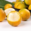 【包邮】广西融安第三代脆蜜金桔，果大饱满，无籽，皮薄脆爽，糖度高，平均在20度以上，带皮吃不涩口不麻嘴 商品缩略图0