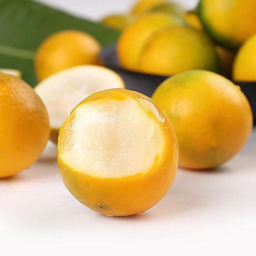 【包邮】广西融安第三代脆蜜金桔，果大饱满，无籽，皮薄脆爽，糖度高，平均在20度以上，带皮吃不涩口不麻嘴 商品图0