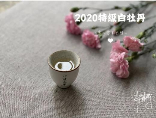 【收藏装】2020高山牡丹王《春望》，倒春寒里难得的盛世美颜！ 商品图5