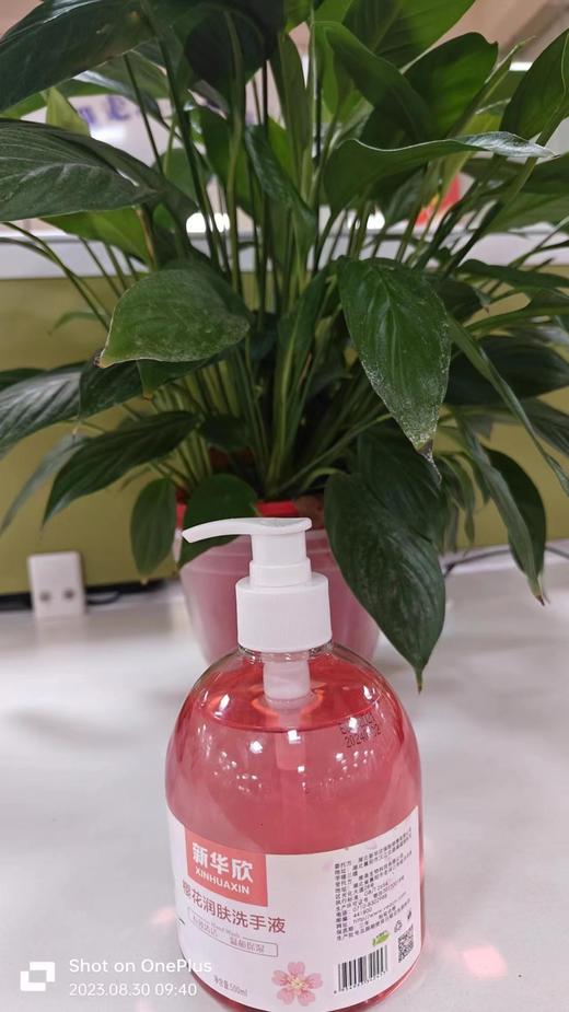 4月产说会物资新华欣洗手液1支 商品图0