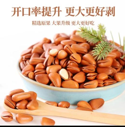 东北开口大松子 商品图7