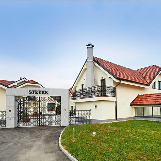 诗黛雅马克干白葡萄酒（2015） 商品图11