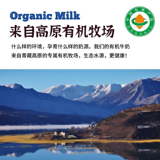 青藏有机纯牛奶  2箱装（10盒*200g*2箱） 商品图1