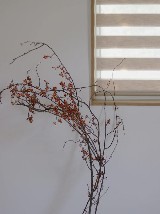 国产南蛇藤【一切都会好起来的】简小姐精选极具空间感 ins风花材 南蛇藤1束 中通包邮 商品图8