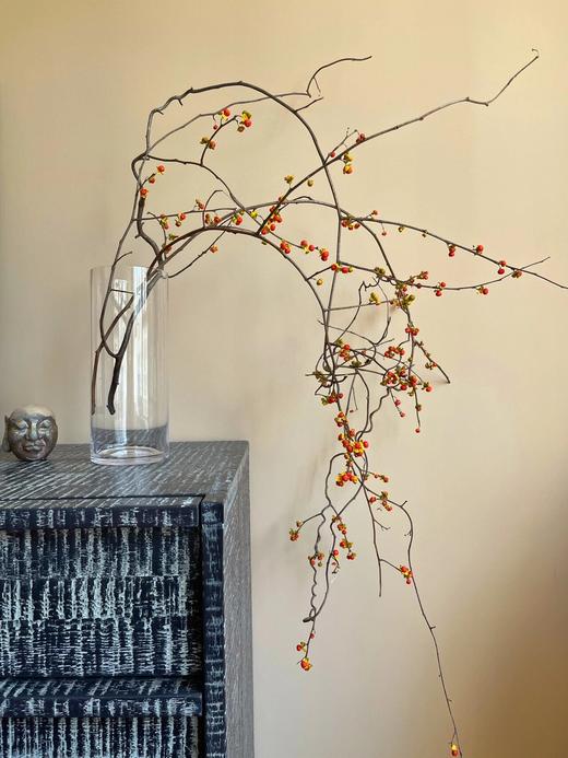 国产南蛇藤【一切都会好起来的】简小姐精选极具空间感 ins风花材 南蛇藤1束 中通包邮 商品图4