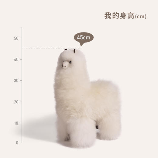 INJOI 羊驼玩偶 大号 站姿 商品图3