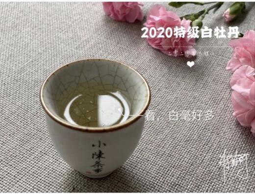 【收藏装】2020高山牡丹王《春望》，倒春寒里难得的盛世美颜！ 商品图6