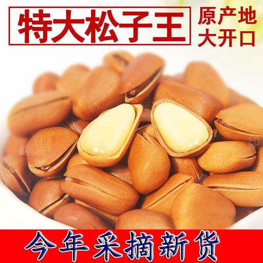 【个大易剥！长白山特大红松子】新货开口东北松子 坚果松籽仁 红松非特级 特大零食-觅食坊 商品图1