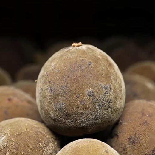 李时珍化州橘红片 ,20年陈年正毛化州橘红，助你养省之道 商品图3