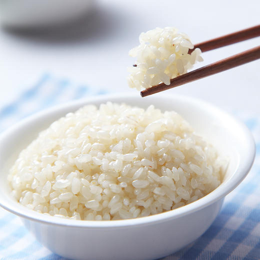 【九九食材】新鲜鲜芽米虾稻共生胚芽米5斤 商品图3