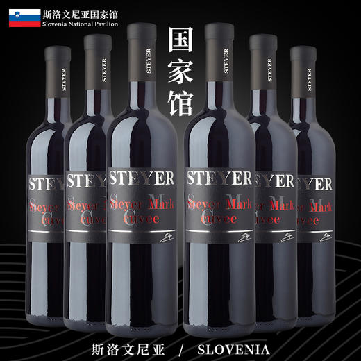 诗黛雅马克干红葡萄酒 商品图6