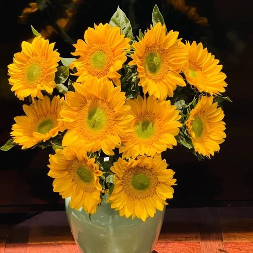 【幸福感爆棚的向日葵组合】黑心中花向日葵5支+绿心小花向日葵5支 商品图2
