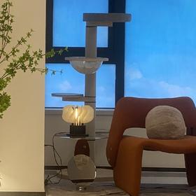 晨熙园客厅猫抓架