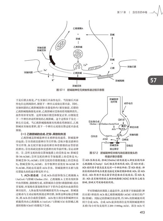 新版现货 急诊内科学 第5版五版张文武 内科急症医学重症医学内科学门诊急危重症常用诊疗技术药物 人民卫生出版社9787117351959 商品图4