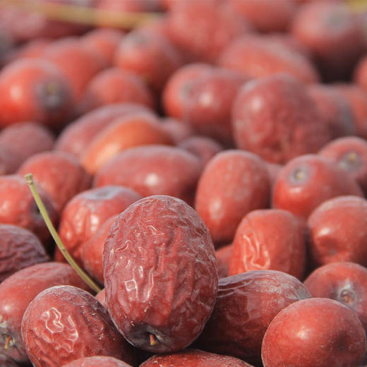 新疆树上风干枣 灰枣  红枣 初级农产品 干果 坚果【25年新枣】【买5斤送1斤】【买3斤送半斤】 商品图8