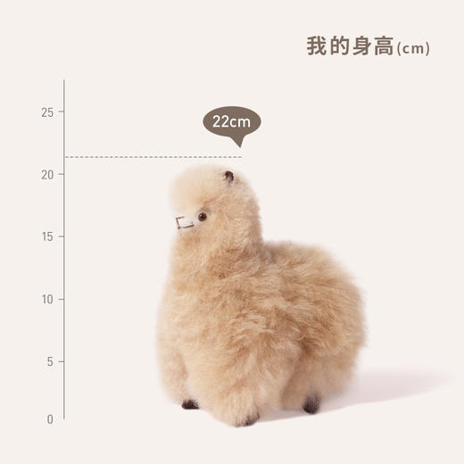 INJOI 羊驼玩偶 小号 站姿 商品图4