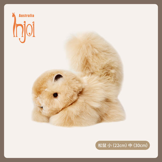 INJOI 松鼠 小号 商品图1