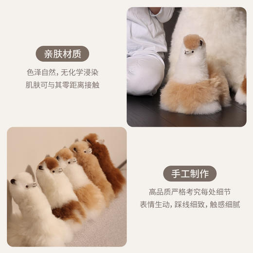 INJOI 羊驼玩偶 小号 卧姿 商品图2