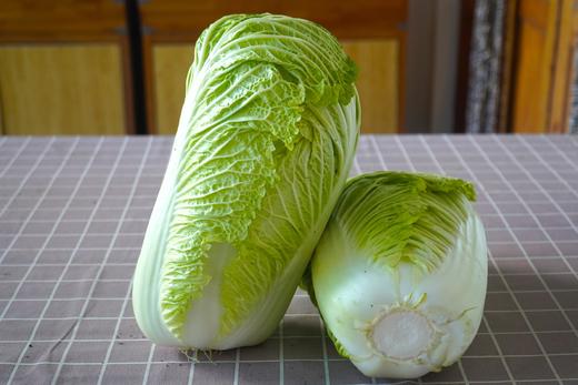小毛驴自产大白菜  自然种植、无农药、无化肥，人工除草 商品图7
