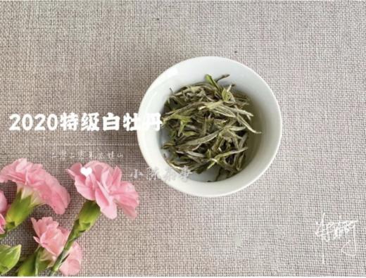 【收藏装】2020高山牡丹王《春望》，倒春寒里难得的盛世美颜！ 商品图3