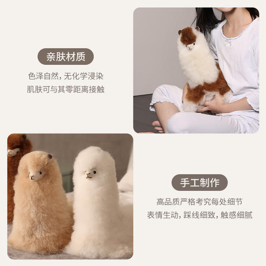 INJOI 羊驼玩偶 中号 卧姿 商品图2
