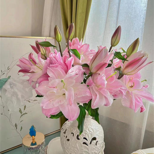 双钻多头重瓣百合5支 商品图2