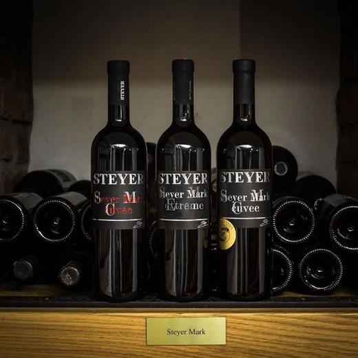 诗黛雅马克干白葡萄酒（2015） 商品图5