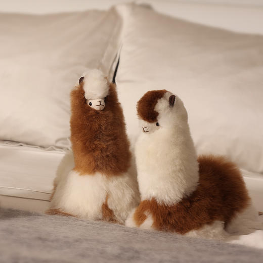 INJOI 羊驼玩偶 中号 卧姿 商品图3