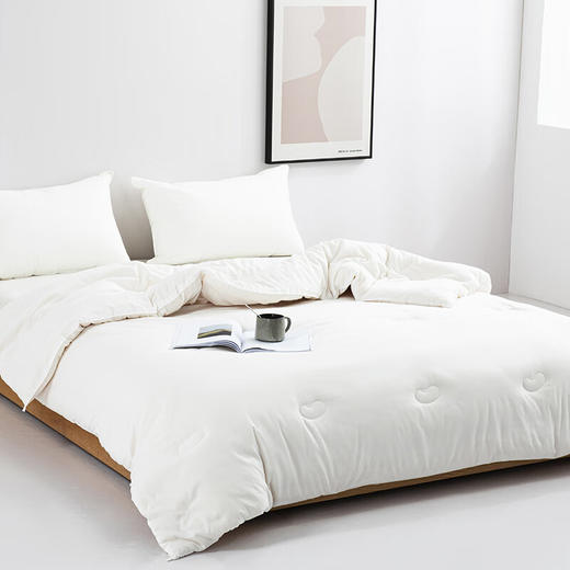 红蜻蜓原棉大豆被HQT-2002 商品图3