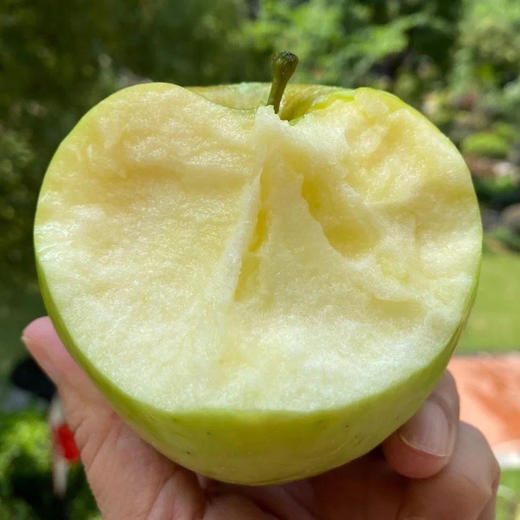 青森水蜜桃苹果，浓香脆甜，水蜜桃般汁水充沛，口感酥脆，细细沙沙不绵软 商品图3