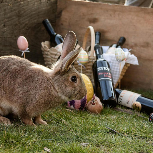 诗黛雅马克干红葡萄酒 商品图4