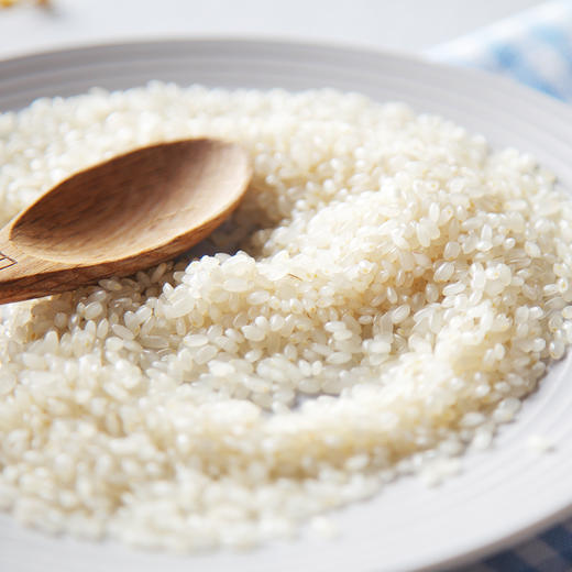 【九九食材】新鲜鲜芽米虾稻共生胚芽米5斤 商品图2