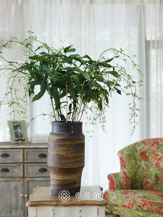 JT垂丝茉莉 商品图0