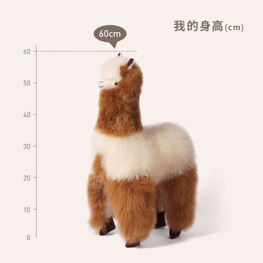 INJOI 羊驼玩偶 超大号 站姿 商品图4