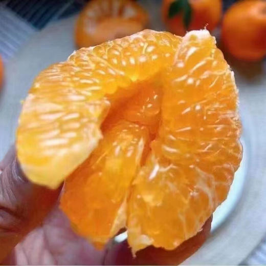 🧐又到一年甜蜜春见时刻🍊——春见耙耙柑一直做顶尖🍊的领头羊口感自然是没的说[色]超完美💯 商品图12