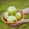 青森水蜜桃苹果，浓香脆甜，水蜜桃般汁水充沛，口感酥脆，细细沙沙不绵软 商品缩略图2