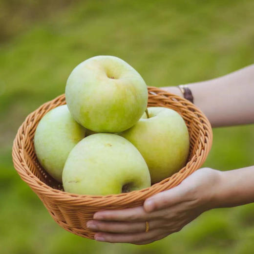 青森水蜜桃苹果，浓香脆甜，水蜜桃般汁水充沛，口感酥脆，细细沙沙不绵软 商品图2