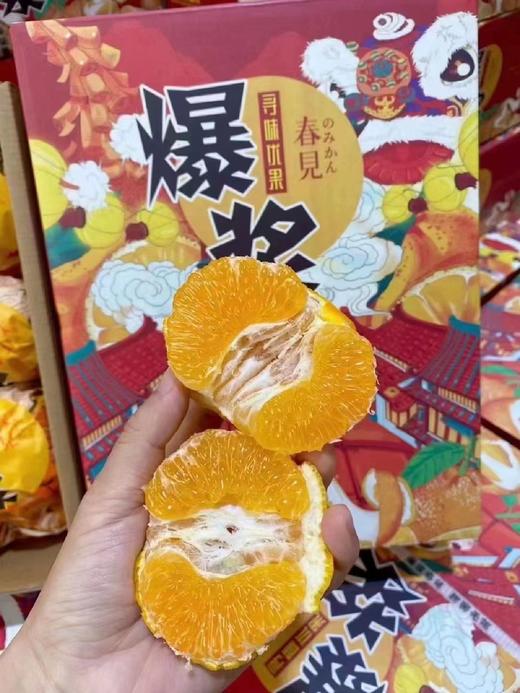 春见耙耙柑 深圳同城顺丰包邮 商品图1