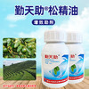 勤天助松精油清园松脂酸钠助剂松子油松脂油果园茶园清园专用助剂 商品缩略图2