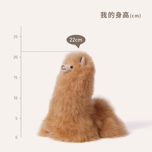 INJOI 羊驼玩偶 小号 卧姿 商品图3