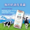 千初纯牛奶全脂营养牛乳蛋白牛奶 学生儿童成人早餐奶200g*24盒 礼盒 商品缩略图3