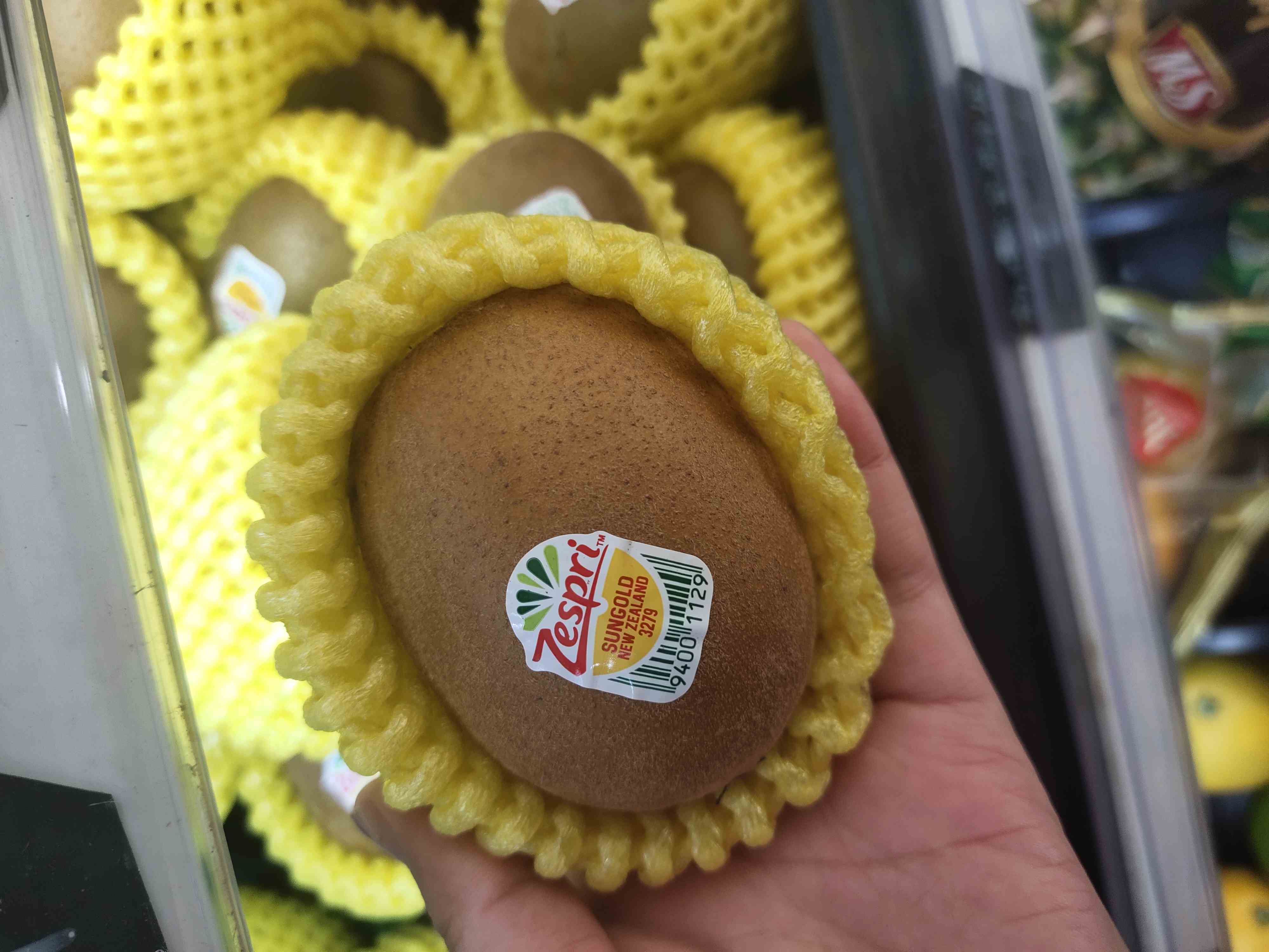 新西兰金奇异果