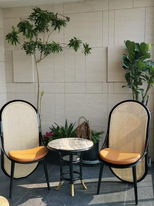 中洲公馆同款 休闲阳台休闲椅 商品图1