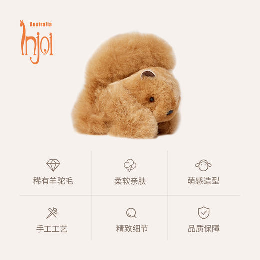 INJOI 松鼠 小号 商品图2