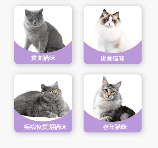 「缓解改善猫咪鼻支」卫仕猫L-赖氨酸片200片 商品图3