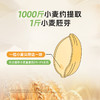 [甄选]锁鲜小麦胚芽 高纤高蛋白  冲泡即食  450g/盒（30g*15） 2盒/4盒 商品缩略图3