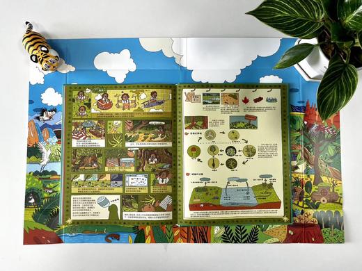 《中国国家公园》 商品图9